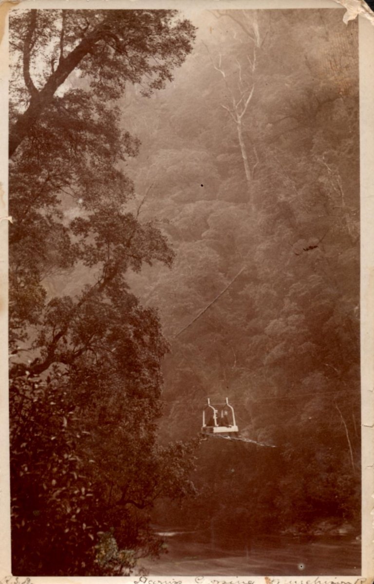Murchison River cage postcard circa 1907.jpg