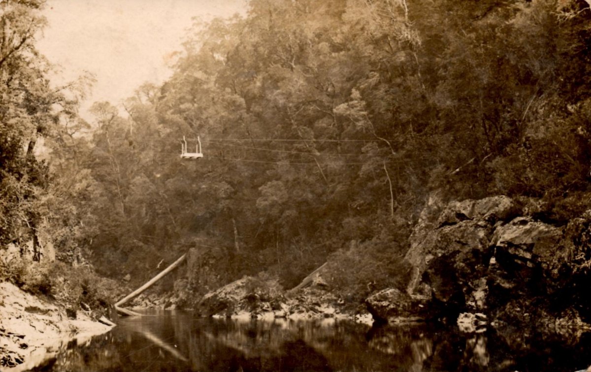 Murchison River cage postcard circa 1908.jpg