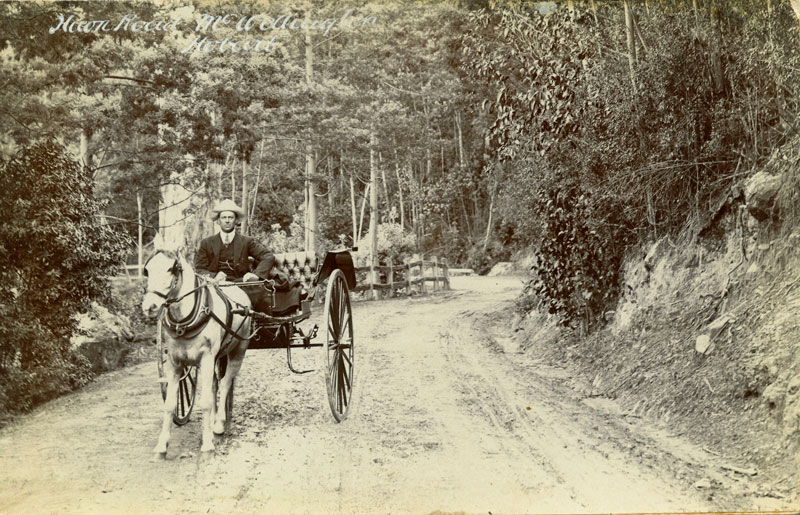 Same buggy and driver as previous photo. This one on Huon Road. Photo W. H. Cooper, Royal Arcade, Melbourne.