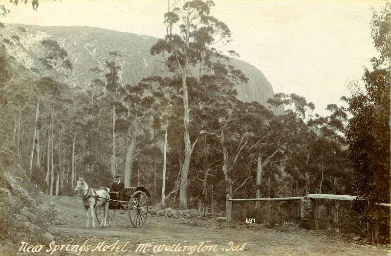 A small buggy with driver at the Springs. Photo W. H. Cooper, Royal Arcade, Melbourne.